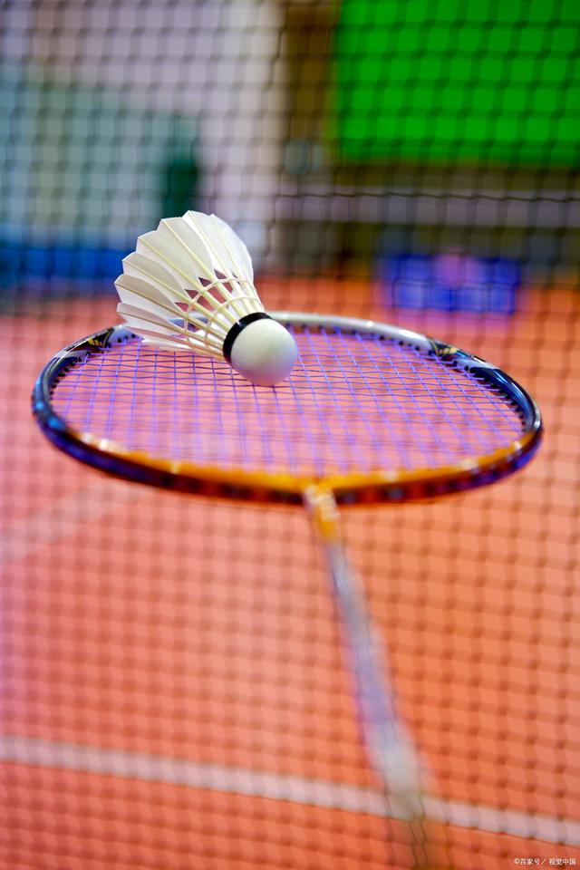 于行业的专 于行业的专